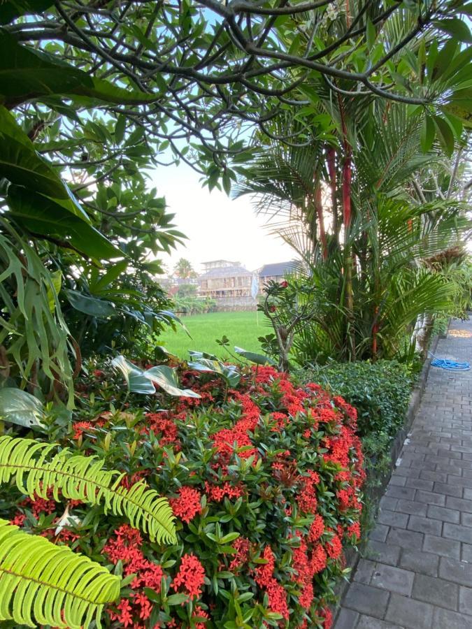 Krisna Homestay Canggu Zewnętrze zdjęcie
